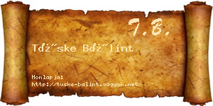 Tüske Bálint névjegykártya